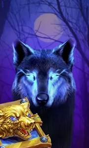 Book Of The Night Wolf